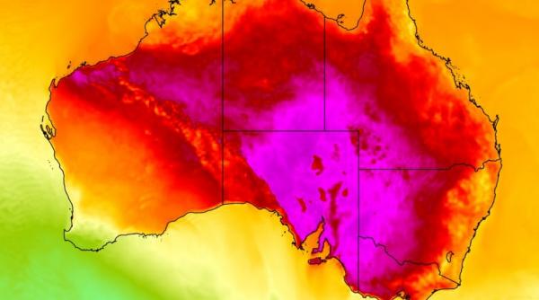 australienii se topesc de caldura turistii primesc bere gratis