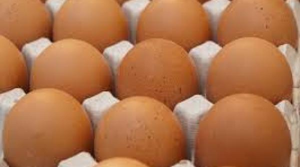 alerta in olt aproape 96 000 de oua contaminate cu fipronil retrase de la comercializare
