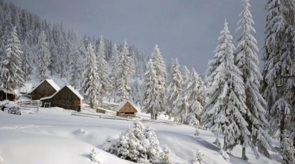 zapada de un metru pe partiile de la sureanu si apuseni