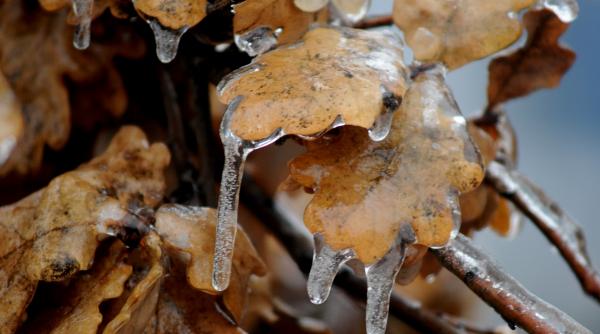 efectul ploii inghetate eolienele scoase din sistem importul de energie se mentine ridicat