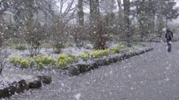 alerta anm cod galben de ceata vant ploi si burnita in 15 judete luni dupa amiaza