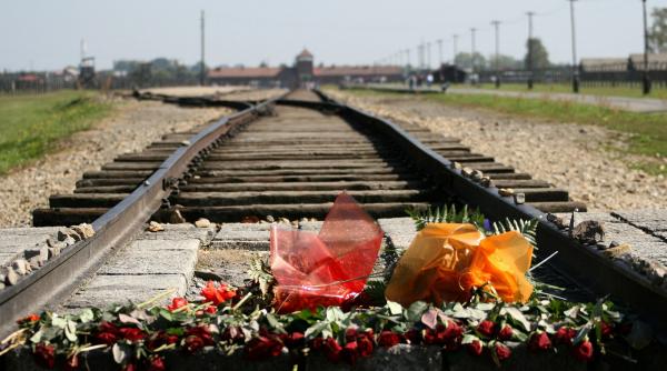victimele holocaustului comemorate prin arta