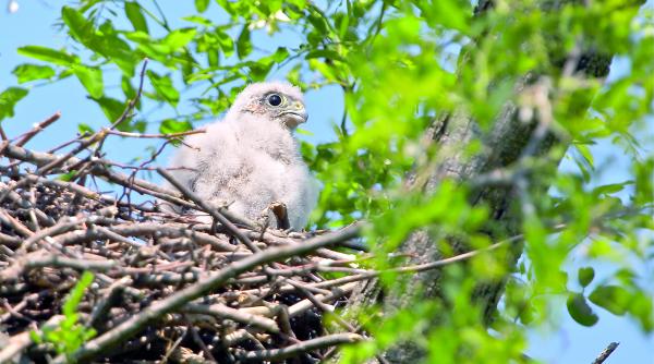 o noua destinatie turistica din bani europeni
