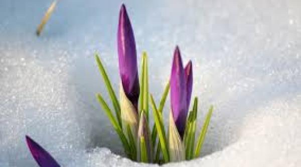 prognoza meteo de la anm temperaturi record pentru luna februarie