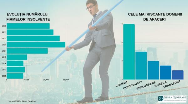 tsunami in business ul romanesc cad firmele
