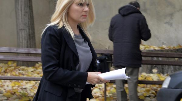 anaf cere curator fiscal pentru administrarea averii elenei udrea