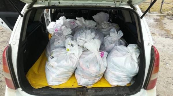 captura record peste 300 kg peste confiscate de politistii de frontiera midia