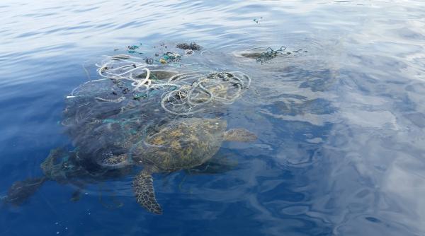 cercetatorii au facut un anunt ingrijorator despre plasticul din mari si oceane