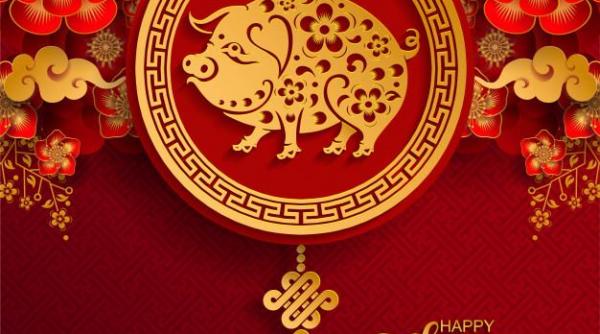 anul nou chinezesc cel al mistretului de pamant sarbatorit in toata lumea