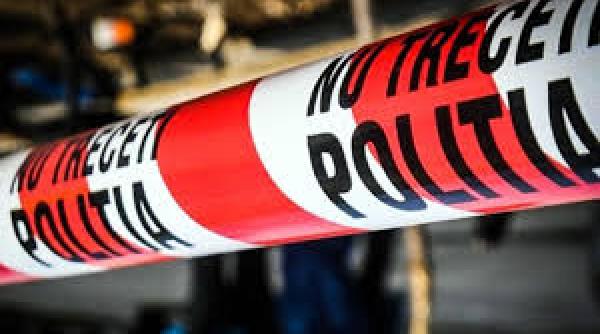 descoperire incredibila in petrosani un bebelus mort a fost gasit langa tomberoanele unui bloc