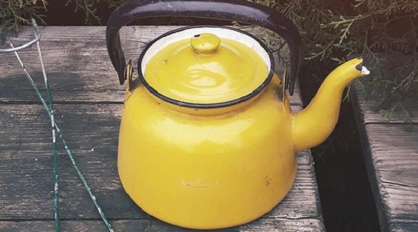 remediu stravechi care topeste tumorile