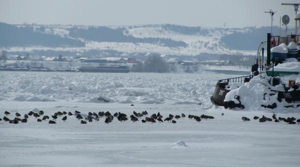 transporturile asteapta finantari de la bruxelles de 9 mld de lei