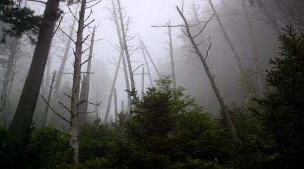 rapa diavolului unde pana si vulturul intoarce