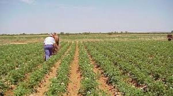 apia incepe plata pentru fermierii selectati la controlul prin teledetectie