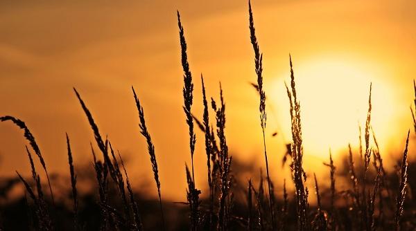 momentele zilei in credinta populara a romanilor
