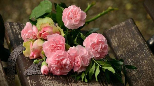 afla care este floarea protectoare in functie de luna in care te ai nascut