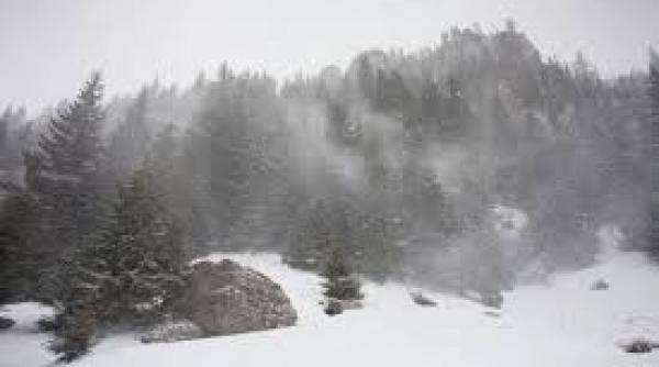 intensificari ale vantului si ninsoare viscolita in zona montana a judetelor prahova si dambovita