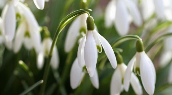 prognoza meteo pentru 19 20 21 si 22 februarie vreme frumoasa