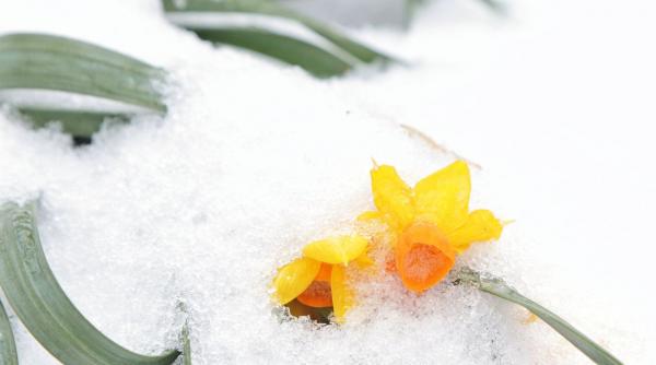 prognoza meteo pentru urmatoarele doua saptamani vreme neobisnuita