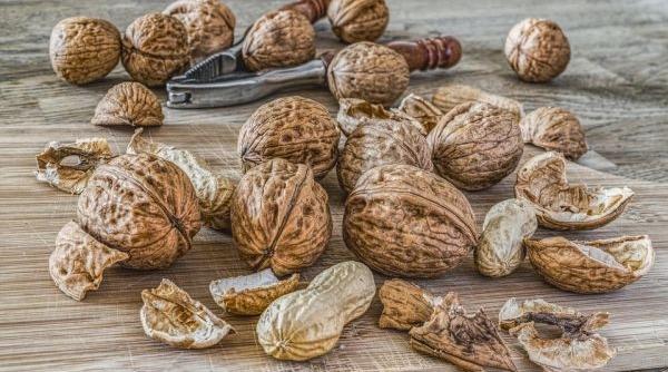 cinci lucruri mai putin cunoscute despre nuci