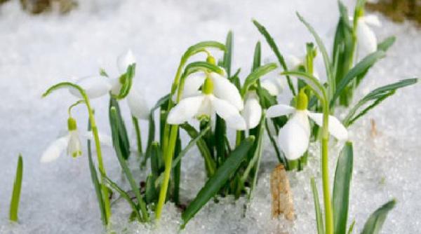 prognoza meteo pentru 25 26 27 si 28 februarie 2019 cer noros