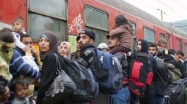 guvernul a platit sute de imigranti pentru ca acestia sa se intoarca in tarile lor