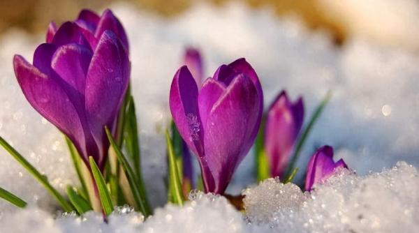 prognoza meteo pentru 26 27 28 si 1 martie cer noros