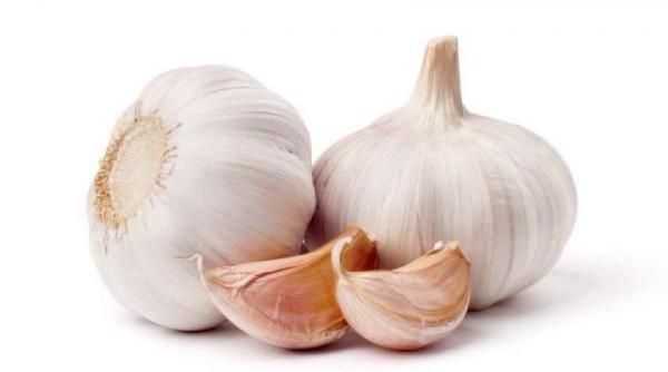 cultivatorii de usturoi vor beneficia din acest an de sprijin financiar