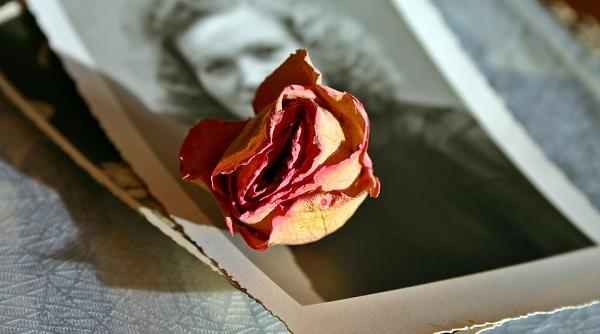 obiecte care aduc noroc fiecarei zodii