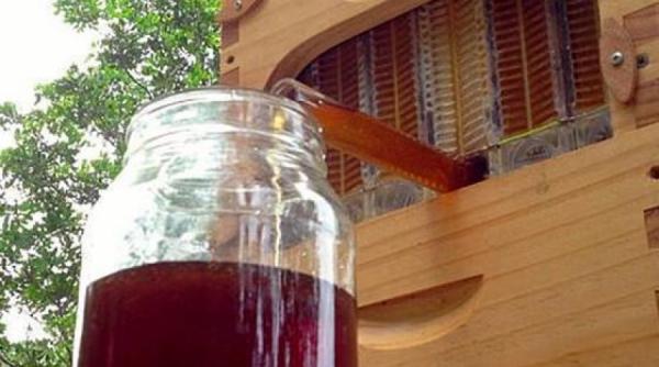 stupul care extrage mierea automat vezi video