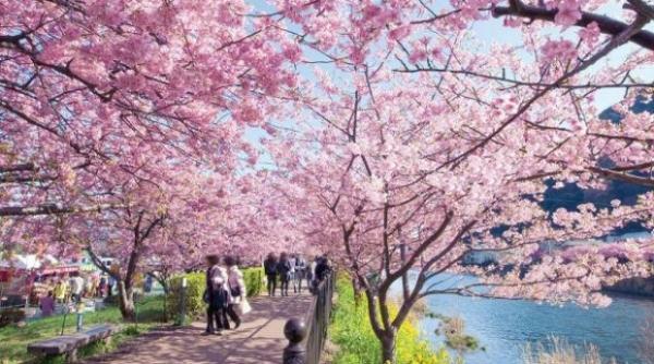 vesti excelente de la anm incalzire majora a vremii si precipitatii temporare in perioada 4 17 martie