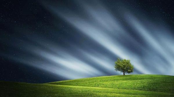 interpretare vise 5 simboluri pe care sa nu le ignori