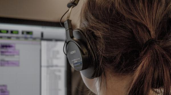 partidele in criza de postaci pentru campaniile electorale