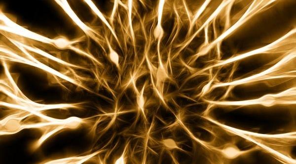 tot ce trebuie sa stii despre atrofia cerebrala cauze simptome tratament