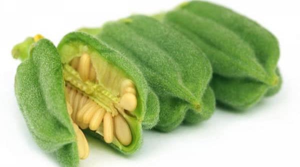 tratamente naturiste semintele de susan si puterea lor curativa 9 boli pe care le vindeca