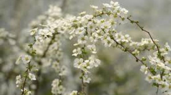 anunt surpriza de la meteorologi cum va fi vremea in urmatoarele zile