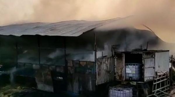 o ferma de porci din judetul arges a luat foc pompierii spun ca exista pericol de explozie