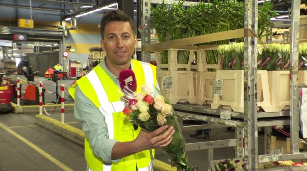 cosmin stan un material special observator despre cea mai mare licitatie de flori din lume