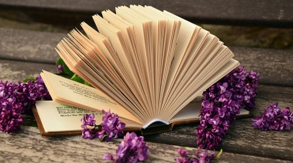 proverbe de colectie 20 dintre cele mai intelepte proverbe internationale