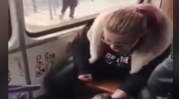 caine batut cruntintr un tramvai din capitala stapana si a varsat nervii pe bietul animal pentru ca se certase cu iubitul ei