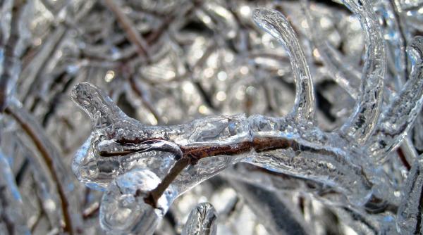 prognoza meteo pentru bucuresti sunt anuntate ploi si lapovita