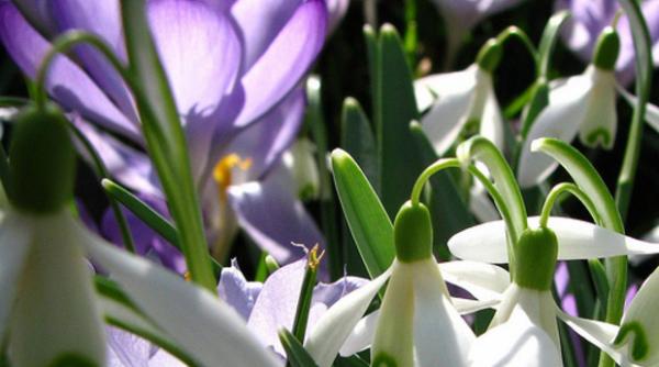 anunt surpriza de la meteorologi cum va fi vremea pana pe 8 aprilie