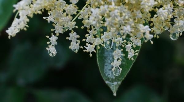 prognoza meteo pentru 18 martie 15 aprilie 2019 schimbare spectaculoasa de vreme temperaturi usor mai ridicate si precipitatii mai putine