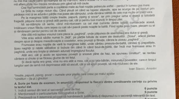 ce subiecte au primit elevii la proba de limba si literatura romana la simularea pentru bacalaureat