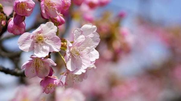 anunt surpriza de la meteorologi prognoza meteo pana in aprilie