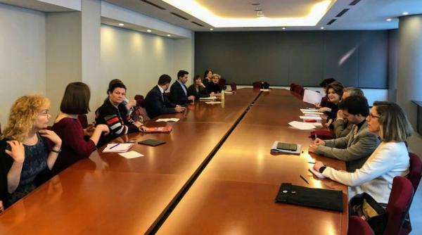 rovana plumb intalniri cu reprezentantii parlamentului european pe tema negocierilor interinstitutionale sub presedintia romana a consiliului ue