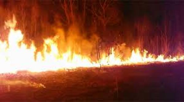 un batran din buzau a murit intr un incendiu de vegetatie