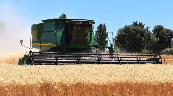 productii mai slabe de grau si orz in 2019