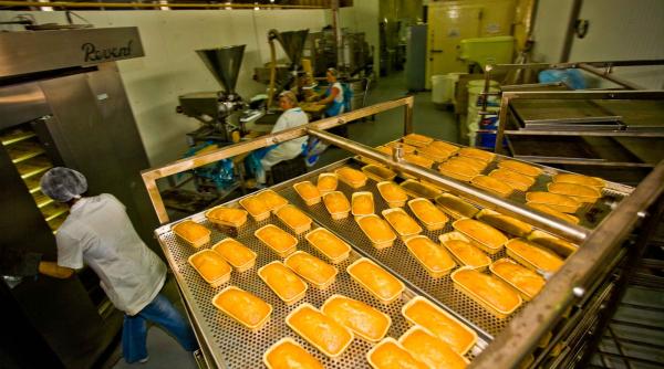 vesti excelente angajatorii din germania ofera 91 de locuri de munca prin eures romania