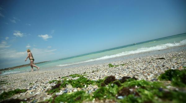 doua miliarde de euro pentru bunastare